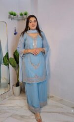 blue pastel plazo Lv522 - Image 3
