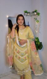 Pakistani suit 519