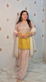 Party wear farshi Lv507